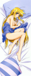 Rule 34 | 00s, 1girl, absurdres, ass, barefoot, blonde hair, blush, breasts, completely nude, covering privates, covering breasts, dakimakura (medium), fate testarossa, feet, female focus, full body, highres, long hair, lyrical nanoha, mahou shoujo lyrical nanoha, mahou shoujo lyrical nanoha strikers, naked towel, no bra, no panties, nude, official art, okuda yasuhiro, open mouth, red eyes, solo, thighs, topless, towel, very long hair