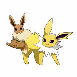Rule 34 | :3, animated, black eyes, brown eyes, closed mouth, creatures (company), eevee, full body, game freak, gen 1 pokemon, jolteon, looping animation, nintendo, no humans, pokemon, pokemon (creature), simple background, smile, static cling, static electricity, sweatdrop, tagme, tail, taro (tontaro), video, white background