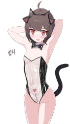 Rule 34 | 1girl, absurdres, ahoge, animal ears, armpits, arms behind head, arms up, artist request, bare arms, bare shoulders, blush, body writing, bow, bowtie, breasts, brown hair, cat ears, cat tail, commission, covered navel, cowboy shot, detached collar, dick-o-meter, fake animal ears, female focus, hairband, heart, highleg, highleg leotard, highres, legs together, leotard, looking at viewer, measuring, meme attire, mole, mole on breast, mole on thigh, mole under eye, nontraditional playboy bunny, open mouth, original, penis measuring, prunechi, red eyes, second-party source, short hair, simple background, small breasts, solo, standing, strapless, strapless leotard, tail, tail raised, thighs, translucent bunnysuit, white background