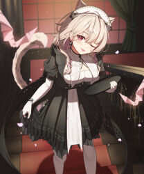 Rule 34 | 1girl, ;), animal ears, arknights, bat (animal), blush, bracelet, braid, breasts, cat ears, cat girl, cat tail, cleavage, closed mouth, earrings, elbow gloves, extra ears, feet out of frame, gloves, grey hair, hairband, holding, holding tray, indoors, jewelry, kazemaru (arknights), kazemaru (like illusion) (arknights), large breasts, leaning forward, long hair, looking at viewer, maid, official alternate costume, one eye closed, pantyhose, pink eyes, puffy short sleeves, puffy sleeves, ring, shironekoban, short sleeves, skirt hold, smile, solo, stairs, tail, tray, twin braids, white gloves, white hairband, white pantyhose, window