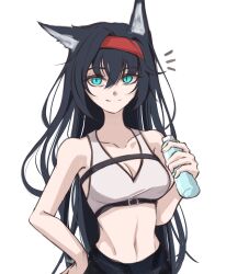 Rule 34 | 1girl, animal ears, arknights, black hair, black pants, blaze (arknights), blue eyes, book, breasts, cat ears, cat girl, cleavage, collarbone, hairband, highres, holding, holding book, looking at viewer, medium breasts, navel, notice lines, pants, petra (jgc845601), red hairband, simple background, smile, solo, sports bra, stomach, white background, white sports bra