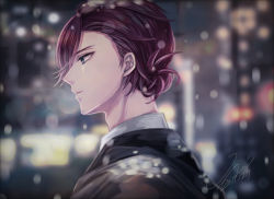 Rule 34 | 1boy, black jacket, blurry, brown hair, dated, hattori you, highres, jacket, looking to the side, male focus, night, outdoors, profile, snowing, solo, stand my heroes, unhtt0, upper body
