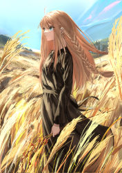 Rule 34 | 1girl, absurdres, ahoge, autumn, blonde hair, braid, brown dress, clear sky, day, dress, earrings, feet out of frame, from side, green eyes, highres, holding, holding plant, jewelry, long hair, looking afar, original, plant, sawatani ( swt2), serious, side braid, sky, solo, wheat field