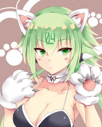 Rule 34 | animal ear fluff, animal ears, animal hands, bikini, black bikini, blush, bow, breasts, brown background, cat ears, cat paws, cat tail, character request, claws, cleavage, collar, collarbone, copyright request, gaoohohaha, gloves, green eyes, hair between eyes, highres, large breasts, paw gloves, paw print, short hair, simple background, solo, swimsuit, tail, upper body