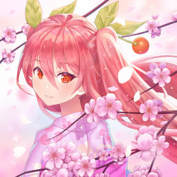 Rule 34 | 1girl, branch, cherry blossoms, cherry hair ornament, commentary, falling petals, floral print, food-themed hair ornament, from behind, hair ornament, hatsune miku, highres, japanese clothes, kimono, long hair, looking at viewer, looking back, neriw, parted lips, petals, pink background, pink hair, pink kimono, red eyes, sakura miku, smile, solo, twintails, upper body, very long hair, vocaloid