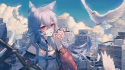 Rule 34 | 1girl, animal ear fluff, animal ears, antenna hair, bad id, bad twitter id, bird, breasts, city, cleavage, cloud, collar, feathers, fingernails, food, highres, jewelry, lips, long hair, looking at viewer, maccha (mochancc), medium breasts, nail polish, necklace, original, parted lips, pocky, price tag, red eyes, red nails, sidelocks, silver hair, sky, wolf ears, wolf girl