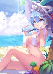 Rule 34 | 10s, 1girl, beach, beach towel, bird, blue eyes, blue hair, breasts, cloud, cloudy sky, convenient censoring, covered erect nipples, covering privates, day, drinking, food, from side, fruit, grapes, hair ornament, hat, light particles, light rays, looking at viewer, matching hair/eyes, medium breasts, naked towel, navel, nude, nudist, ocean, outdoors, palm tree, pineapple, re:zero kara hajimeru isekai seikatsu, rem (re:zero), short hair, sitting, sky, solo, summer, thighs, towel, towel around neck, towel over breasts, tree, watermelon, white hat, x hair ornament, xc (lingshi mi zhi)