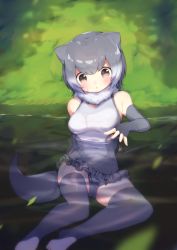 Rule 34 | 10s, 1girl, animal ears, arare mochiko, blush, breasts, covered navel, elbow gloves, fingerless gloves, fur collar, gloves, grey gloves, grey hair, grey thighhighs, highres, kemono friends, looking at viewer, medium breasts, multicolored hair, one-piece swimsuit, otter ears, otter tail, outdoors, partially submerged, short hair, skirt, small-clawed otter (kemono friends), solo, swimsuit, tail, thighhighs, two-tone hair, water, wet, white hair