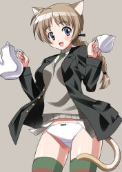 Rule 34 | 1girl, animal ears, blue eyes, blush, bow, bow panties, braid, brown hair, cat ears, cat girl, cat tail, cup, female focus, long hair, lynette bishop, military, military uniform, multicolored clothes, multicolored legwear, nal, nal (studio ng), panties, simple background, single braid, smile, solo, strike witches, striped clothes, striped thighhighs, tail, teacup, teapot, thighhighs, underwear, uniform, white panties, world witches series