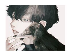 Rule 34 | 1boy, artist name, beak, bird, bishounen, black hair, black nails, blurry, cognacbear, crow, depth of field, expressionless, grey background, grey eyes, hand on own chin, highres, light, looking to the side, male focus, original, outline, parted lips, portrait, solo, upper body, white outline
