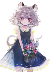 Rule 34 | 1girl, animal ears, backlighting, basket, biyon, black dress, blue flower, closed mouth, dress, flower, grey hair, highres, holding, holding basket, looking at viewer, mouse ears, mouse tail, nazrin, petticoat, red eyes, red flower, short hair, short sleeves, simple background, smile, solo, tail, touhou, white background