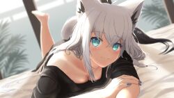 Rule 34 | 1girl, ahoge, animal ear fluff, animal ears, aqua eyes, black shirt, blurry, blurry background, blush, braid, breasts, cleavage, closed mouth, commentary request, depth of field, earrings, fox ears, fox girl, fox tail, hair between eyes, hand on own arm, highres, hololive, jewelry, leg up, light smile, long hair, looking at viewer, lying, medium breasts, on bed, on stomach, palm leaf, pentagram, shirakami fubuki, shirakami fubuki (loungewear), shirata98, shirt, side braid, sidelocks, single earring, solo, tail, very long hair, virtual youtuber, white hair