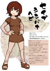 Rule 34 | &gt;:&lt;, 1girl, :&lt;, animal, brown hair, brown shirt, closed mouth, eyebrows, full body, gujira, hands on own hips, long sleeves, looking at viewer, no legwear, no nose, pants, personification, sandals, scales, shirt, snake, solo, sweater, text focus, translation request, v-shaped eyebrows