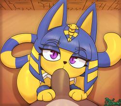 Rule 34 | 1boy, 1girl, absurdres, animal, animal crossing, animal ears, ankha (animal crossing), bowl cut, cat, cat ears, cat girl, colored skin, deep penetration, deepthroat, egyptian, erection, fellatio, furry, furry female, highres, looking at viewer, miso souperstar, nintendo, oral, penis, pov, purple eyes, standing, tail, yellow skin