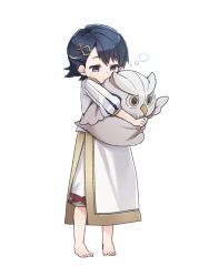 Rule 34 | 1boy, alfonse (fire emblem), barefoot, blue eyes, blue hair, closed mouth, feh (fire emblem heroes), fire emblem, fire emblem heroes, full body, hair ornament, holding, kishiro azuhito, male focus, nintendo, short hair, simple background, solo, stuffed toy, white background, aged down