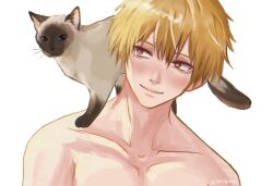 Rule 34 | 1boy, animal, animal on shoulder, blonde hair, cat, cat on shoulder, chainsaw man, collarbone, denji (chainsaw man), highres, looking at another, looking to the side, male focus, short hair, simple background, smile, taestymaee, topless male, white background