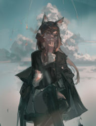 Rule 34 | 1girl, absurdres, animal ear fluff, animal ears, between fingers, brown eyes, brown hair, cigarette, cloud, coat, crossed legs, feet out of frame, hand up, highres, holding, long hair, original, outdoors, sitting, sky, smoke trail, smoking, solo, thighhighs, zygocactus