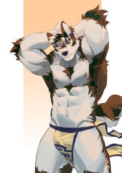 Rule 34 | 1boy, abs, ainu clothes, animal ears, arms behind head, bara, biceps, bulge, chest hair, cowboy shot, furry, furry male, grey fur, grey hair, headband, highres, horkeu kamui, large pectorals, male focus, multicolored hair, muscular, muscular male, navel, nipples, one eye closed, pectorals, pelvic curtain, revealing clothes, seato-hao, short hair, smile, solo, stomach, tail, thick thighs, thighs, tokyo houkago summoners, two-tone fur, white fur, wind, wolf boy, wolf ears, wolf tail, yellow eyes