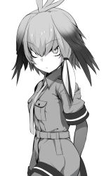 Rule 34 | 10s, 1girl, belt, black hair, breasts, collared shirt, fingerless gloves, gloves, greyscale, highres, kemono friends, long hair, looking at viewer, low ponytail, monochrome, multicolored hair, necktie, shimejinameko, shirt, shoebill (kemono friends), short sleeves, side ponytail, small breasts, solo, two-tone hair