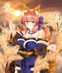 Rule 34 | 10s, 1girl, animal ears, bashiko (shinba557i), blue legwear, bow, breasts, cleavage, detached sleeves, fate/extra, fate/grand order, fate (series), flower, fox ears, fox tail, hair bow, hair ribbon, highres, japanese clothes, large breasts, lips, pink hair, ribbon, solo, sun, tail, tamamo no mae (fate/extra), yellow eyes