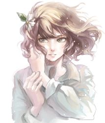 Rule 34 | 1girl, androgynous, bad id, bad pixiv id, brown hair, dress shirt, flower, green eyes, hair flower, hair ornament, hand on own face, light particles, long sleeves, momo alto, original, parted lips, shirt, short hair, simple background, solo, upper body, white background, wind