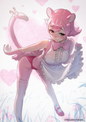 Rule 34 | 1girl, animal ear fluff, animal ears, apron, apron lift, artist name, bare shoulders, blush, bow, bowtie, center frills, clothes lift, commentary, elbow gloves, extra ears, flipped hair, frilled apron, frills, gloves, heart, heart background, highres, kemono friends, leaning forward, legs apart, lifting own clothes, looking at viewer, making-of available, nose blush, panther ears, panther girl, panther tail, pantyhose, peach panther (kemono friends), pink bow, pink bowtie, pink gloves, pink hair, pink thighhighs, ribbon, seductive smile, shirt, short hair, sleeveless, sleeveless shirt, smile, solo, tail, tail ornament, tail ribbon, takami masahiro, thighband pantyhose, thighhighs, traditional bowtie, twitter username, white ribbon, white shirt, yellow eyes