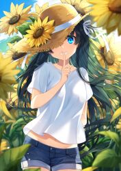 Rule 34 | 1girl, arm behind back, blue eyes, blue shorts, blue sky, cloud, cloudy sky, commentary request, field, finger to mouth, flower, flower field, green hair, hair ornament, hat, long hair, looking at viewer, natsu mikan (clutch), navel, one eye covered, original, outdoors, shirt, short sleeves, shorts, shushing, sky, smile, straw hat, sunflower, sunflower field, teeth, very long hair, white shirt