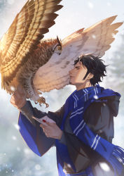 Rule 34 | 1boy, animal, bird, black hair, blue scarf, coat, earrings, envelope, facial hair, goatee, harry potter (series), highres, holding, jewelry, male focus, one piece, outdoors, owl, profile, rami rz, scarf, sideburns, smile, snow, solo, trafalgar law, wide sleeves, wizarding world