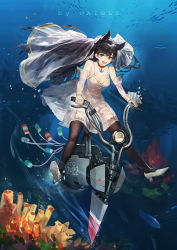 Rule 34 | 1girl, anchor choker, animal ears, atago (azur lane), azur lane, bare shoulders, black hair, black thighhighs, breasts, bridal veil, bride, can, choker, cleavage, commentary, coral, coral reef, daible, detached sleeves, dress, garter straps, high heels, highres, long hair, looking at viewer, medium breasts, motor vehicle, motorcycle, open mouth, orange eyes, red choker, see-through, see-through sleeves, smile, solo, spaghetti strap, thighhighs, tropical fish, underwater, veil, wedding dress, wolf ears