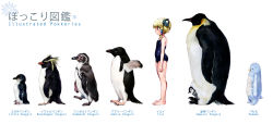 Rule 34 | 1girl, banpresto, barefoot, bilingual, bird, blonde hair, blush, child, feet, flat chest, hair bobbles, hair ornament, height chart, height difference, highres, irui guneden, legs, lineup, mixed-language text, nakamura kanko, one-piece swimsuit, penguin, profile, school swimsuit, short hair, short twintails, sidelocks, simple background, snowflakes, standing, stuffed animal, stuffed penguin, stuffed toy, super robot wars, swimsuit, twintails, white background, yellow eyes