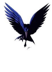 Rule 34 | atlus, beak, bird, demon, feathers, persona, shin megami tensei, talons, wings
