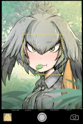 Rule 34 | 10s, 1girl, animal ears, blush, breasts, camera, collared shirt, eating, feathers, food in mouth, frog, green hair, grey necktie, grey shirt, hair between eyes, head wings, icon (computing), kemono friends, leaf, looking at viewer, nature, necktie, outdoors, serval (kemono friends), shiming liangjing, shirt, shoebill (kemono friends), side ponytail, solo, solo focus, sweatdrop, taking picture, twintails, upper body, wings, yellow eyes, zooming in