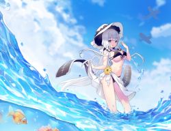 Rule 34 | + +, 1girl, aircraft, airplane, azur lane, bikini, black bikini, blue eyes, blue sky, breasts, bunuojiang, closed mouth, contrapposto, day, fish, fisheye, flower, from side, front-tie bikini top, front-tie top, hat, highres, illustrious (azur lane), large breasts, long hair, looking at viewer, low twintails, navel, outdoors, perky breasts, sarong, sidelocks, sky, smile, solo, standing, sun hat, swimsuit, twintails, underboob, very long hair, wading, white hair