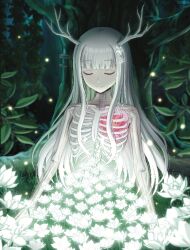 Rule 34 | antlers, closed eyes, closed mouth, eyebrows hidden by hair, fantasy, flower, forest, hair flower, hair ornament, happy, hime cut, horns, leaf, lily (flower), long hair, nature, original, ribs, see-through body, skeleton, smile, straight hair, suoniko, tree, upper body, white hair