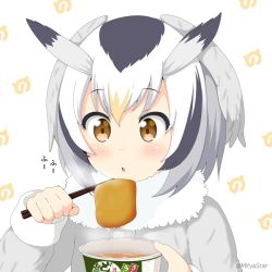 Rule 34 | 10s, 1girl, aburaage, blonde hair, blush, brown eyes, chestnut mouth, chopsticks, coat, cup ramen, donbee (food), donbei kitsune udon, food, fur collar, grey coat, grey hair, head wings, holding, holding chopsticks, instant udon, japari symbol, kemono friends, long sleeves, mitya, multicolored hair, nissin donbei, northern white-faced owl (kemono friends), product placement, solo, steam, twitter username, upper body, white background, white hair, wings