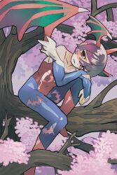 Rule 34 | 1girl, bat wings, boots, cherry blossoms, crying, faunakichi, highres, leotard, lilith aensland, pink hair, red eyes, short hair, tears, tree, vampire (game), wings