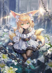 1girl absurdres arknights bare_shoulders blonde_hair brown_pantyhose chain chinese_commentary closed_mouth commentary_request dress flower frills green_eyes hair_flower hair_ornament hair_ribbon highres lace lace-trimmed_dress lace_trim long_sleeves looking_at_viewer medium_hair multiple_tails overgrown pantyhose red_ribbon ribbon ripples ruins shennai_he_chuan sitting solo suzuran_(arknights) tail tassel unfinished water white_dress white_flower white_tail yellow_tail