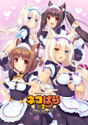 Rule 34 | 10s, 4girls, :3, :d, animal ears, apron, azuki (nekopara), bell, blue eyes, blunt bangs, bow, bowtie, breasts, brown eyes, brown hair, cat ears, chocola (nekopara), cleavage, cleavage cutout, clothing cutout, coconut (nekopara), copyright name, frilled apron, frills, hair ribbon, hand on own hip, happy, heart, heart background, heterochromia, highres, index finger raised, jingle bell, large breasts, long hair, looking at viewer, low twintails, maid headdress, multiple girls, name tag, nekopara, official art, open mouth, outstretched arm, platinum blonde hair, puffy short sleeves, puffy sleeves, ribbon, ribbon-trimmed clothes, ribbon trim, sayori (neko works), short hair, short sleeves, short twintails, slit pupils, small breasts, smile, twintails, two side up, vanilla (nekopara), very long hair, waist apron, waitress, white hair, wrist cuffs, yellow eyes