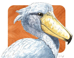 Rule 34 | abstract background, animal, animal focus, artist name, bird, border, closed mouth, commentary request, from side, no humans, orange background, original, portrait, realistic, shoebill, simple background, solo, square background, white background, white border, wilvogel, yellow eyes
