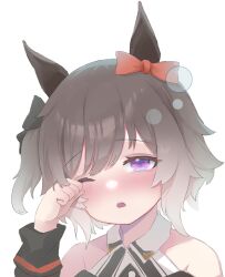 Rule 34 | 1girl, animal ears, blush, bow, curren chan (umamusume), ear bow, ear ribbon, grey hair, horse ears, horse girl, long sleeves, looking at viewer, luoyezi, one eye closed, open mouth, purple eyes, red bow, rubbing eyes, simple background, solo, teeth, umamusume, upper body, upper teeth only, white background