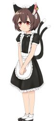 Rule 34 | 1girl, alternate costume, animal ear fluff, animal ear piercing, animal ears, apron, bobby socks, brown hair, cat ears, cat tail, chen, closed mouth, commentary request, earrings, enmaided, fang, flat chest, frills, highres, jewelry, light blush, light smile, maid, maid headdress, multiple tails, nekomata, petite, petticoat, puffy short sleeves, puffy sleeves, qi lang3568, red eyes, short hair, short sleeves, simple background, single earring, skin fang, socks, solo, standing, tail, touhou, two tails, v arms, waist apron, white apron, white background