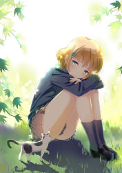 Rule 34 | 1girl, animal, bare legs, black footwear, black socks, blonde hair, blue eyes, blush, branch, cat, closed mouth, eyelashes, grass, grey skirt, hair ornament, hairclip, highres, kneehighs, knees to chest, knees up, loafers, long sleeves, miniskirt, original, plant, pleated skirt, pointy ears, shade, shadow, shoes, skirt, sleeves past wrists, smile, socks, solo, sunlight, sweater, tareme, thighs, tomin, walking