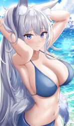 Rule 34 | 1girl, absurdres, animal ears, arms up, azur lane, bikini, blue bikini, blue eyes, blush, breasts, cleavage, closed mouth, day, fox ears, fox girl, fox tail, grey hair, highres, jyu-so, large breasts, long hair, looking at viewer, outdoors, parted lips, shinano (azur lane), smile, solo, stomach, swimsuit, tail, water, wet