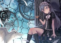 Rule 34 | 1girl, animal, animal ears, arm support, bad id, bad pixiv id, bird, black bow, black footwear, black shirt, black skirt, blue eyes, blue hair, blue sky, blush, boots, bow, clock, closed mouth, cloud, commentary request, cross-laced footwear, day, eyepatch, feathers, gears, gothic lolita, hair bow, hairband, hand up, head tilt, holding, indoors, knee boots, lace-up boots, lolita fashion, lolita hairband, long hair, one side up, original, puffy short sleeves, puffy sleeves, ryuinu, shirt, short sleeves, sitting, skirt, sky, solo, stuffed animal, stuffed rabbit, stuffed toy, very long hair, white feathers, wolf ears