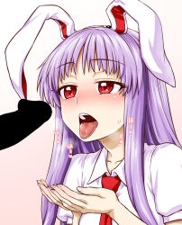 Rule 34 | 1girl, animal ears, blank censor, blouse, blush, censored, collared shirt, cupping hands, gradient background, heart, heavy breathing, highres, itou yuuji, long hair, necktie, open mouth, own hands together, penis, purple hair, rabbit ears, red eyes, reisen udongein inaba, shirt, solo, sweat, teeth, tongue, tongue out, touhou, upper body, white shirt