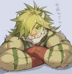 Rule 34 | 1boy, animal ears, bandages, bara, bare arms, bare shoulders, blonde hair, colored sclera, furry, furry male, green sclera, looking at viewer, macan (housamo), male focus, medium hair, muscular, muscular male, one eye covered, smile, solo, tattoo, thick eyebrows, tiger boy, tiger ears, tokyo houkago summoners, translation request, tribal tattoo, uori, upper body, yellow fur