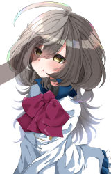 Rule 34 | 1boy, 1girl, absurdres, ahoge, assault lily, black shirt, blue skirt, blush, bow, bowtie, chestnut mouth, collared shirt, commentary request, frilled skirt, frills, grey hair, hair between eyes, herensuge girls academy school uniform, hetero, high collar, highres, jacket, long hair, long sleeves, looking at penis, looking up, miniskirt, multicolored hair, oversized clothes, parted lips, penis awe, penis silhouette, pink bow, pink bowtie, sasaki ran, school uniform, shirt, silhouette, simple background, skirt, solo focus, streaked hair, upper body, v arms, white background, white jacket, ya-man, yellow eyes