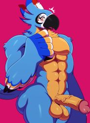 Rule 34 | 1boy, abs, ass, bara, beak, bird, blush, body fur, brown eyes, erection, eric lowery, eyelashes, furry, furry male, highres, kass, male focus, muscular, nintendo, open mouth, pectorals, penis, precum, rito, simple background, solo, standing, stomach, testicles, the legend of zelda, the legend of zelda: breath of the wild, veins, veiny penis, wide hips