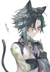 Rule 34 | 1boy, animal ears, arm tattoo, bead necklace, beads, black gloves, black hair, blush, cat boy, cat ears, cat tail, crossed arms, facial mark, flying sweatdrops, forehead mark, genshin impact, gloves, green gloves, green hair, highres, jewelry, male focus, multicolored hair, necklace, simple background, solo, sweat, tail, tattoo, translation request, upper body, white background, xiao (genshin impact), yellow eyes, zaso