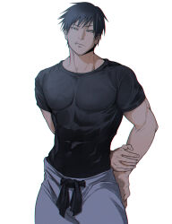 Rule 34 | 1boy, abs, absurdres, arms behind back, black hair, black shirt, ceo aneki, closed mouth, commentary, cowboy shot, fushiguro touji, highres, jujutsu kaisen, male focus, muscular, muscular male, pants, scar, scar on face, scar on mouth, shirt, short hair, simple background, solo, t-shirt, white background, white pants